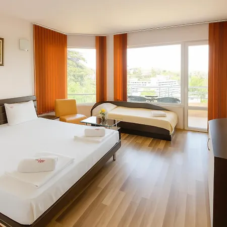 Hotel Avis 3*
