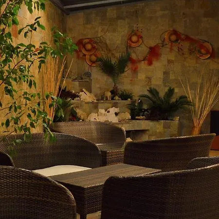 Hotel Avis 3*